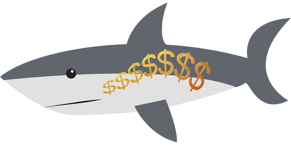 rekin finansjery