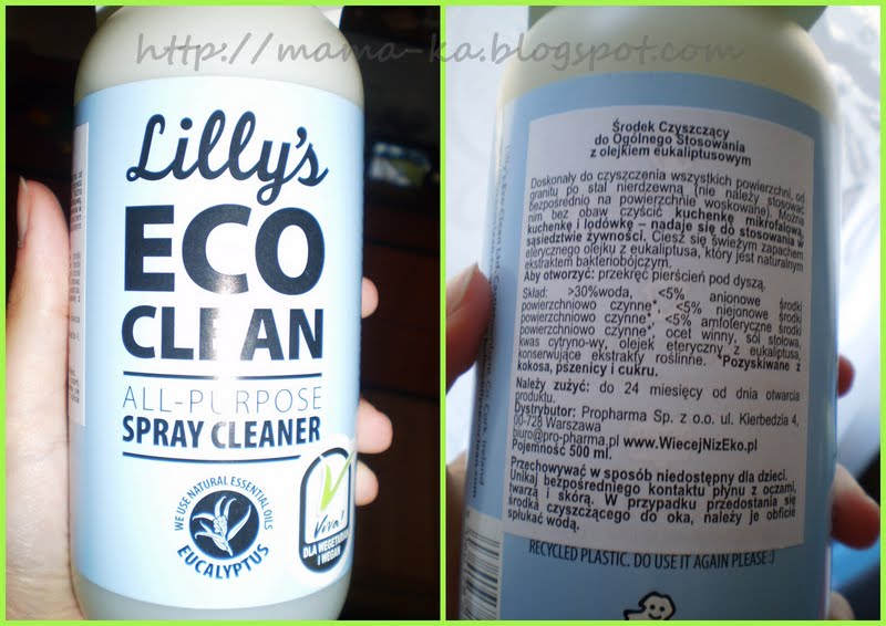 lilly's eco clean