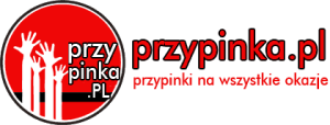 przypinka-logo-300x114